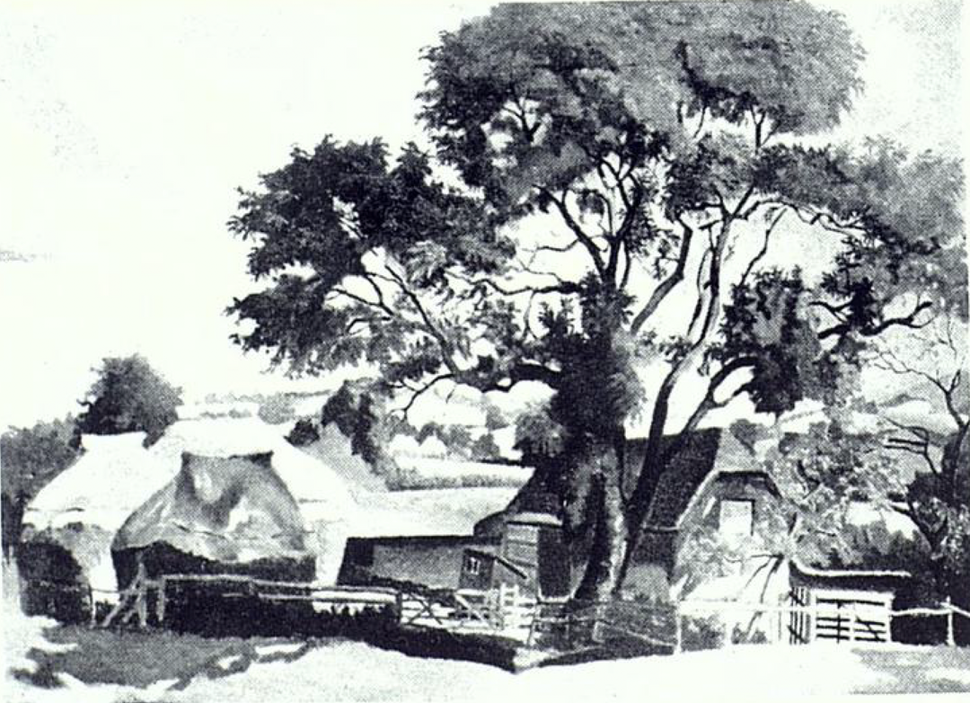 Burden's Farm