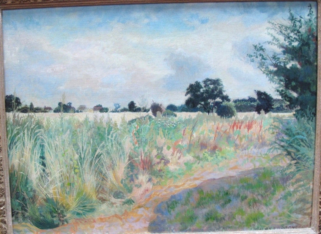 Cornfields