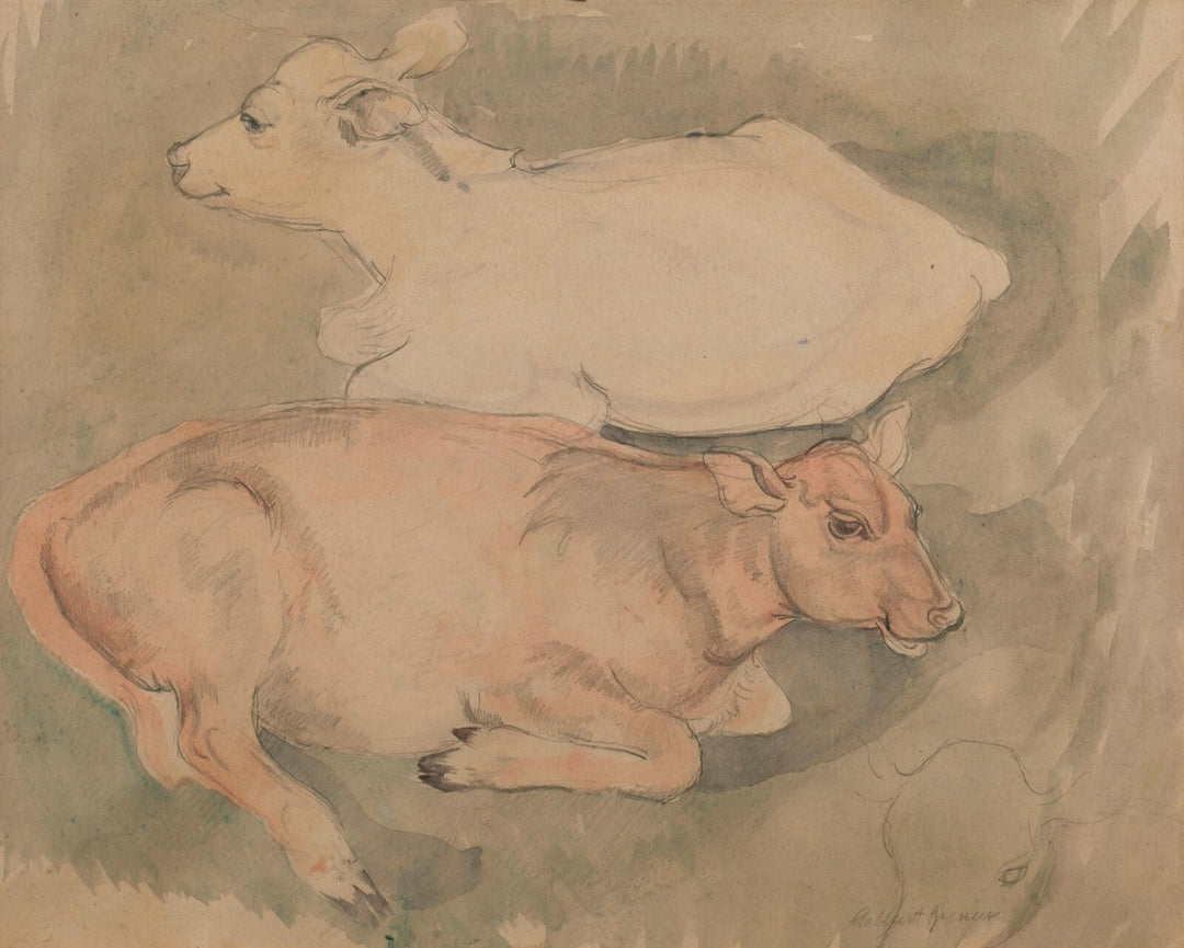 Two Calves