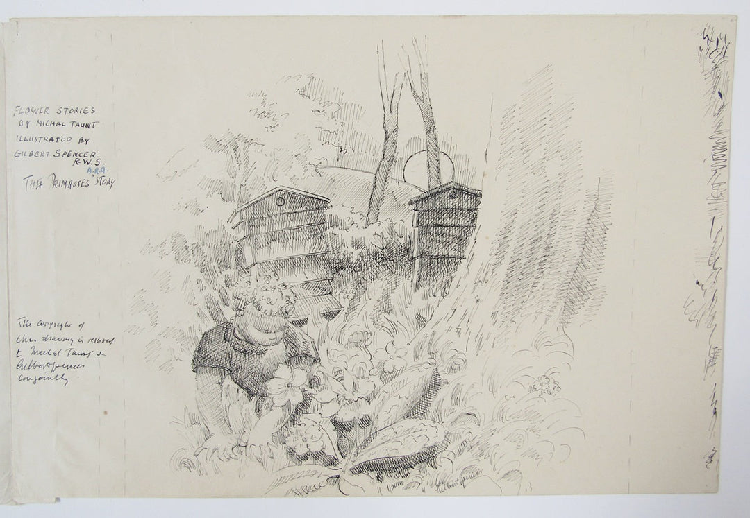 Illustration for Flower Stories: Primrose