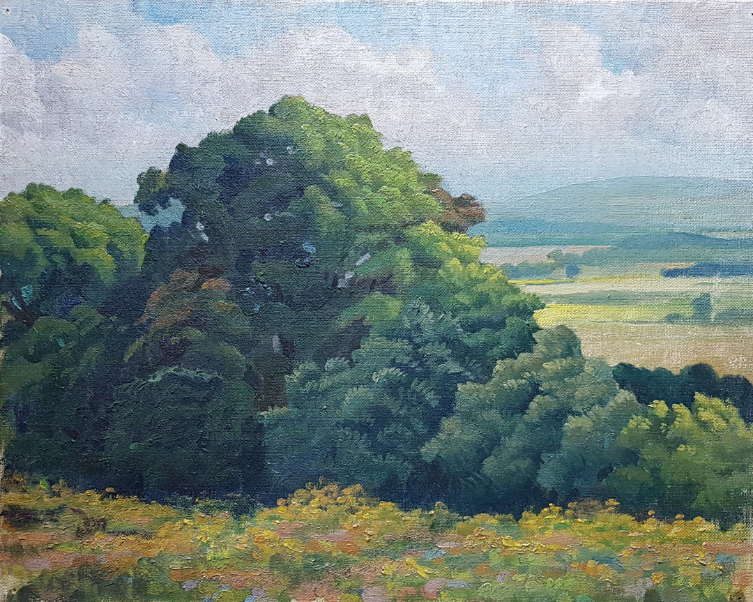 Melbury, Dorset, possibly Melbury Down