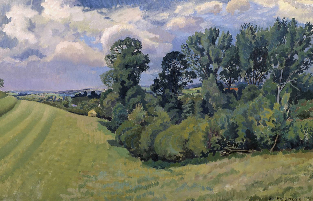 Blackmore Vale from Compton Abbas