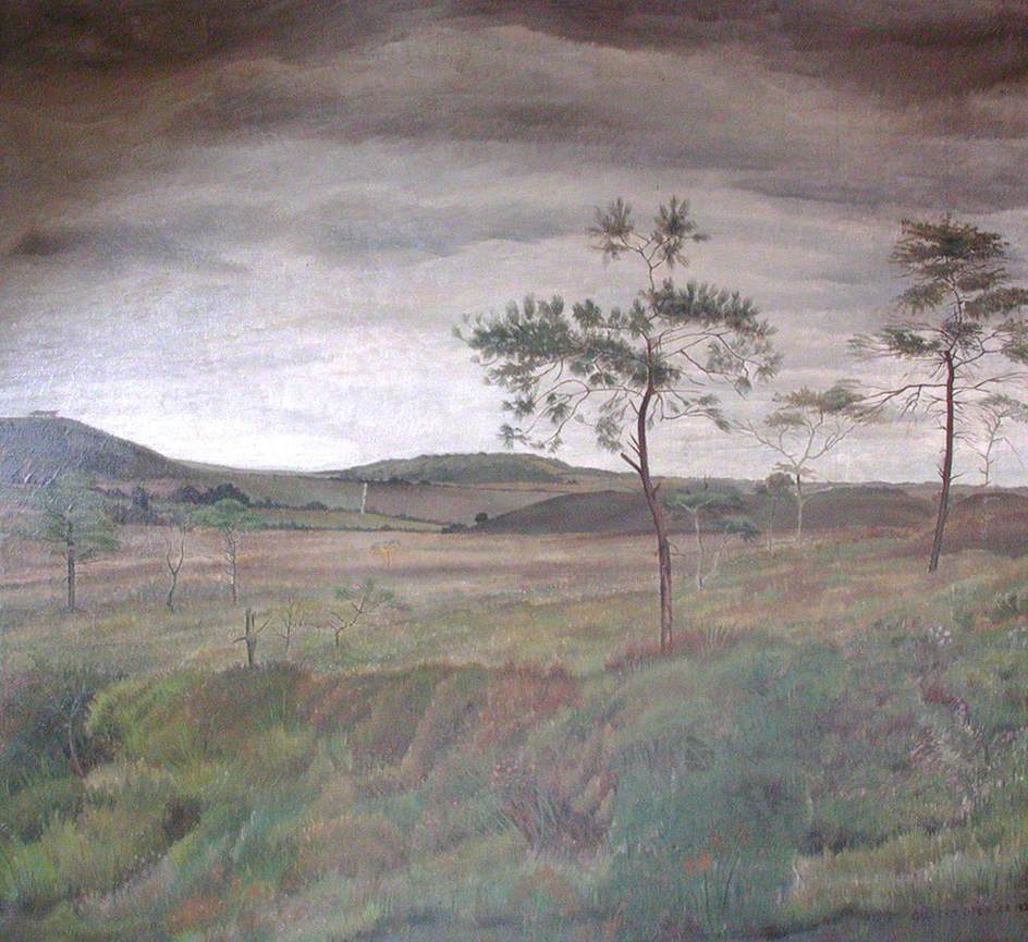 View of Egdon Heath from the Crest of Clouds Hill looking North