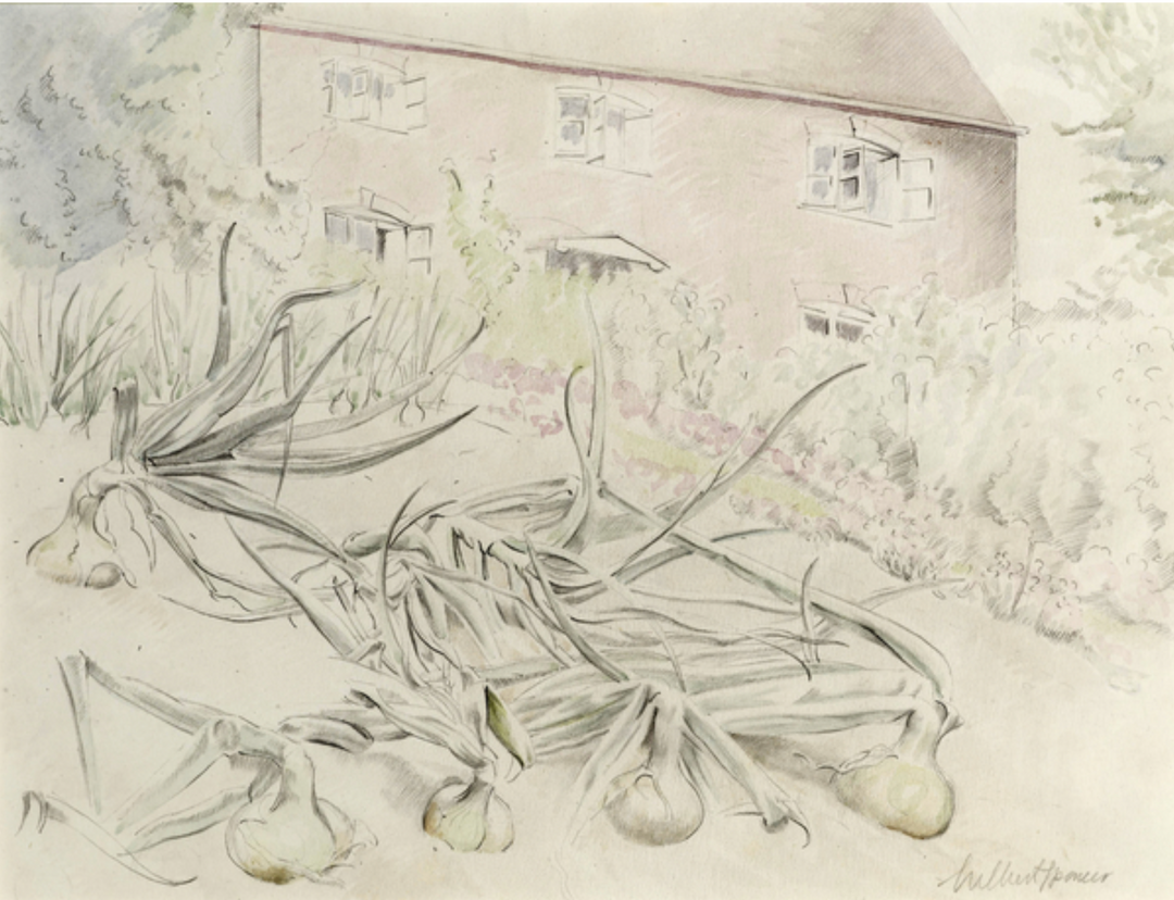 Onions in the garden of the artist's house