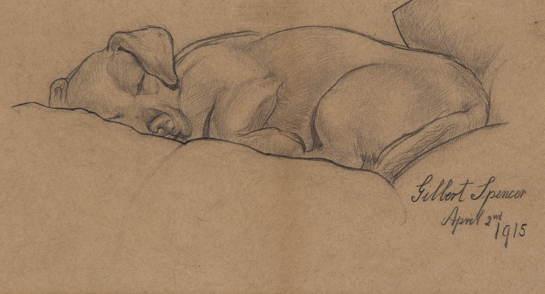 Dog Sleeping