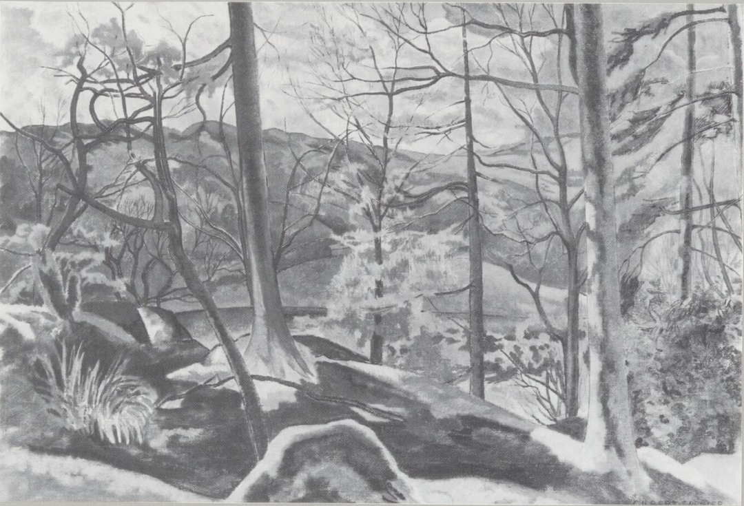 Ladywood from Grasmere