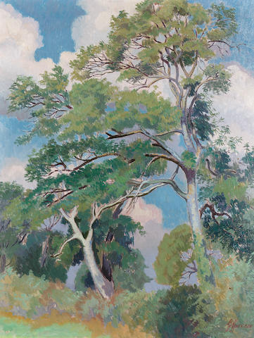 Study of trees